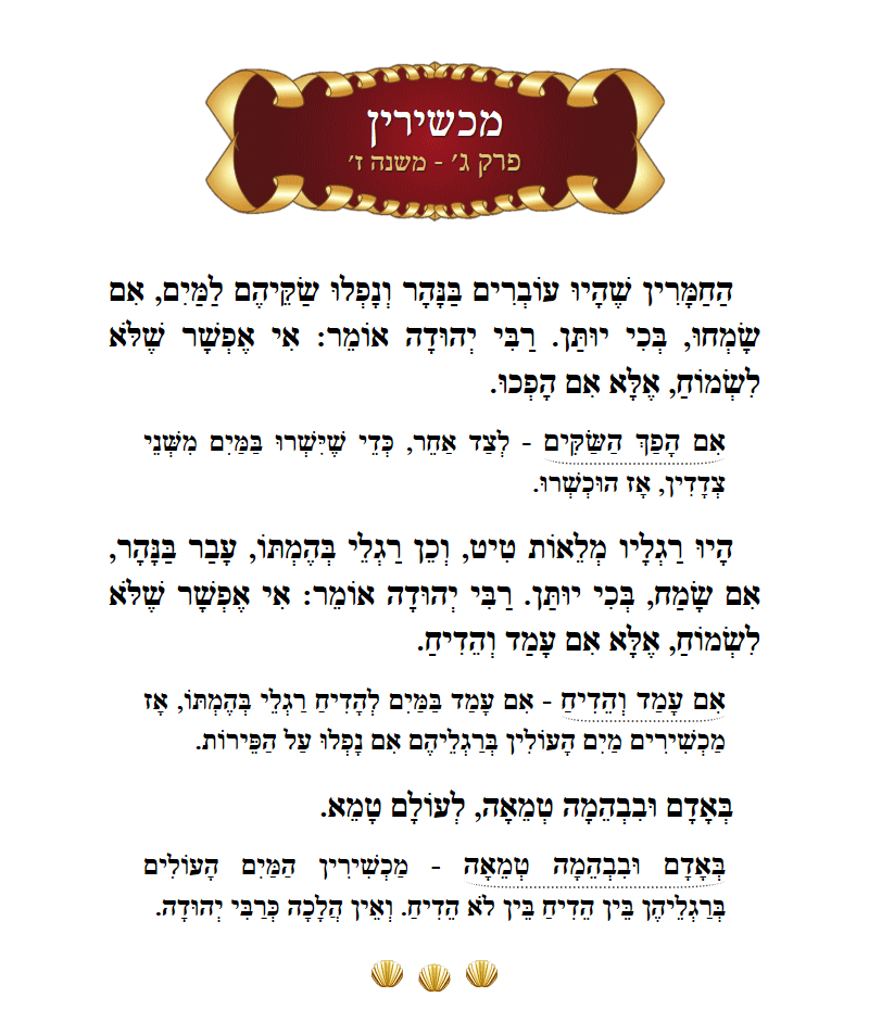 Masechta Machshirin Chapter 3 Mishnah 7 with commentary