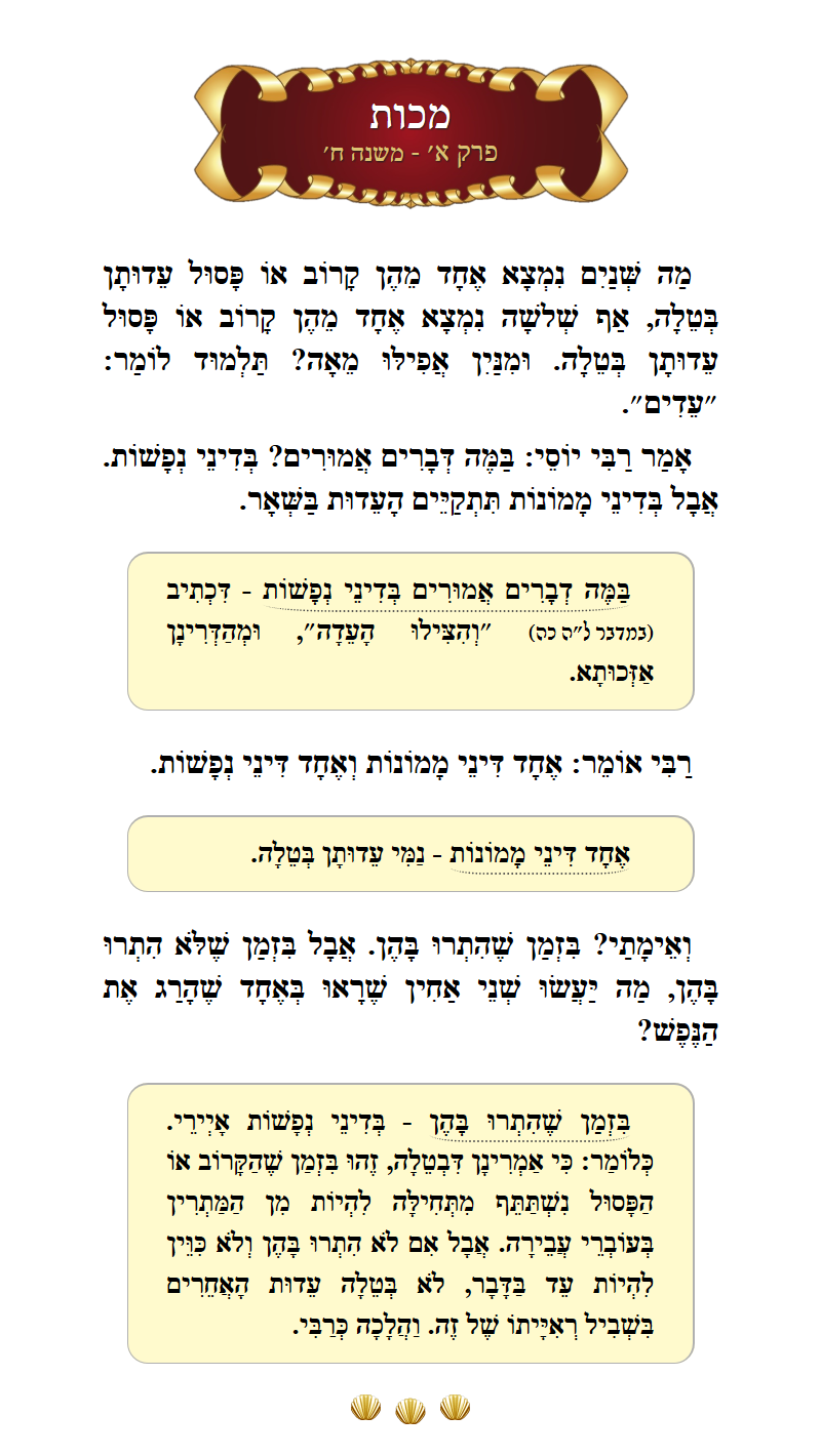 Masechta Makkos Chapter 1 Mishnah 8 with commentary