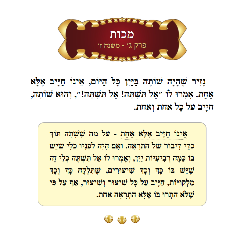 Masechta Makkos Chapter 3 Mishnah 7 with commentary