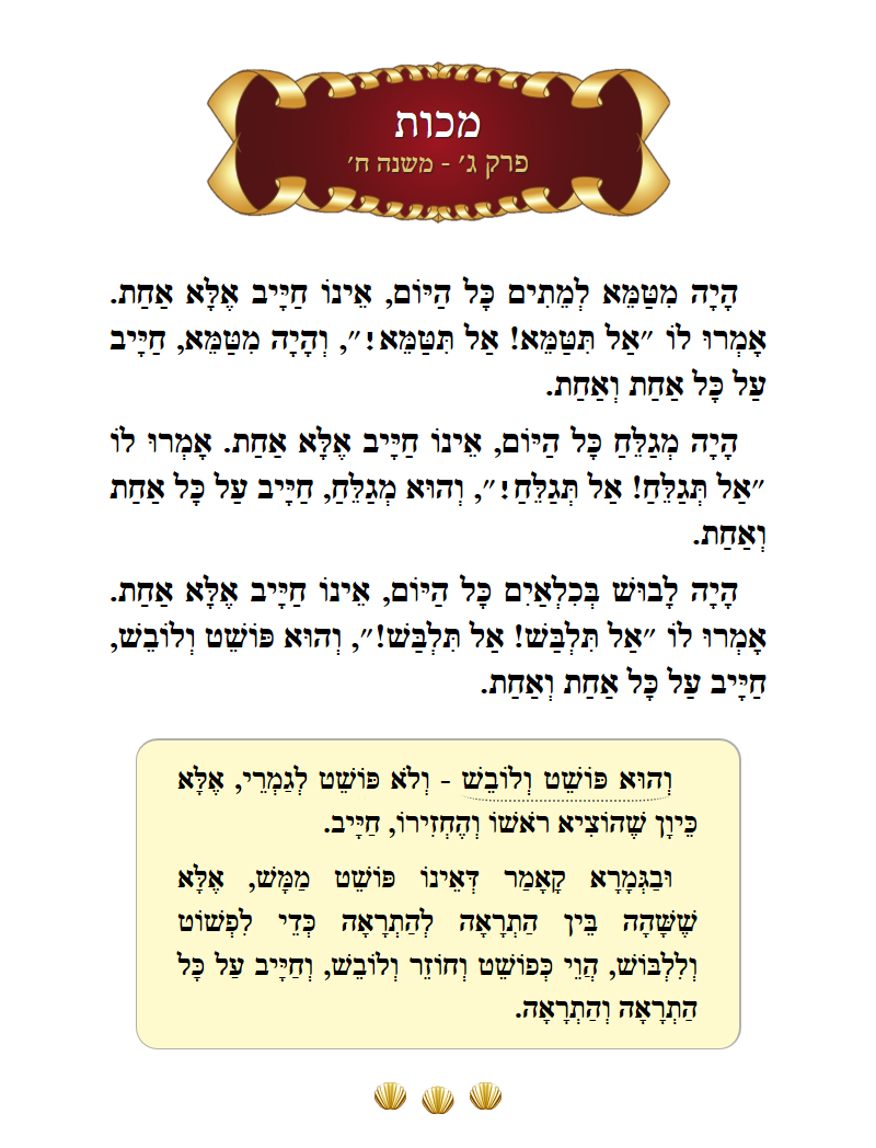 Masechta Makkos Chapter 3 Mishnah 8 with commentary