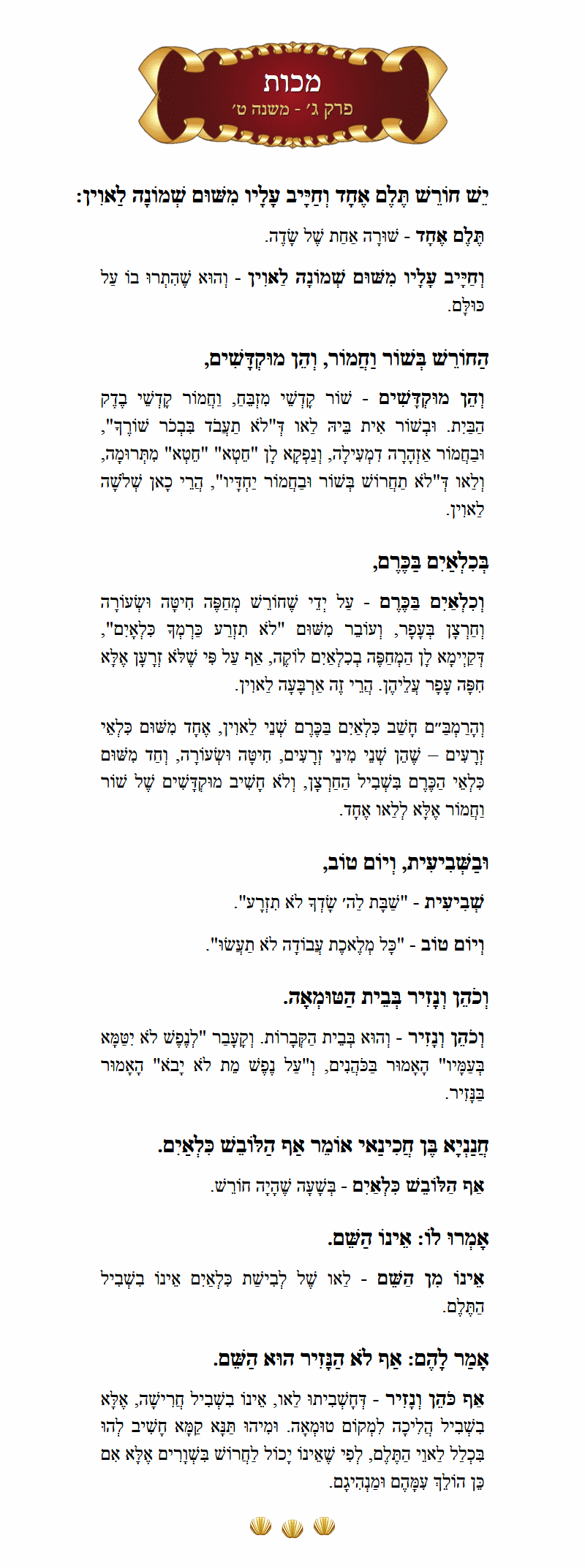 Masechta Makkos Chapter 3 Mishnah 9 with commentary