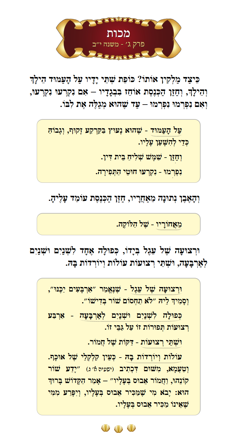 Masechta Makkos Chapter 3 Mishnah 12 with commentary