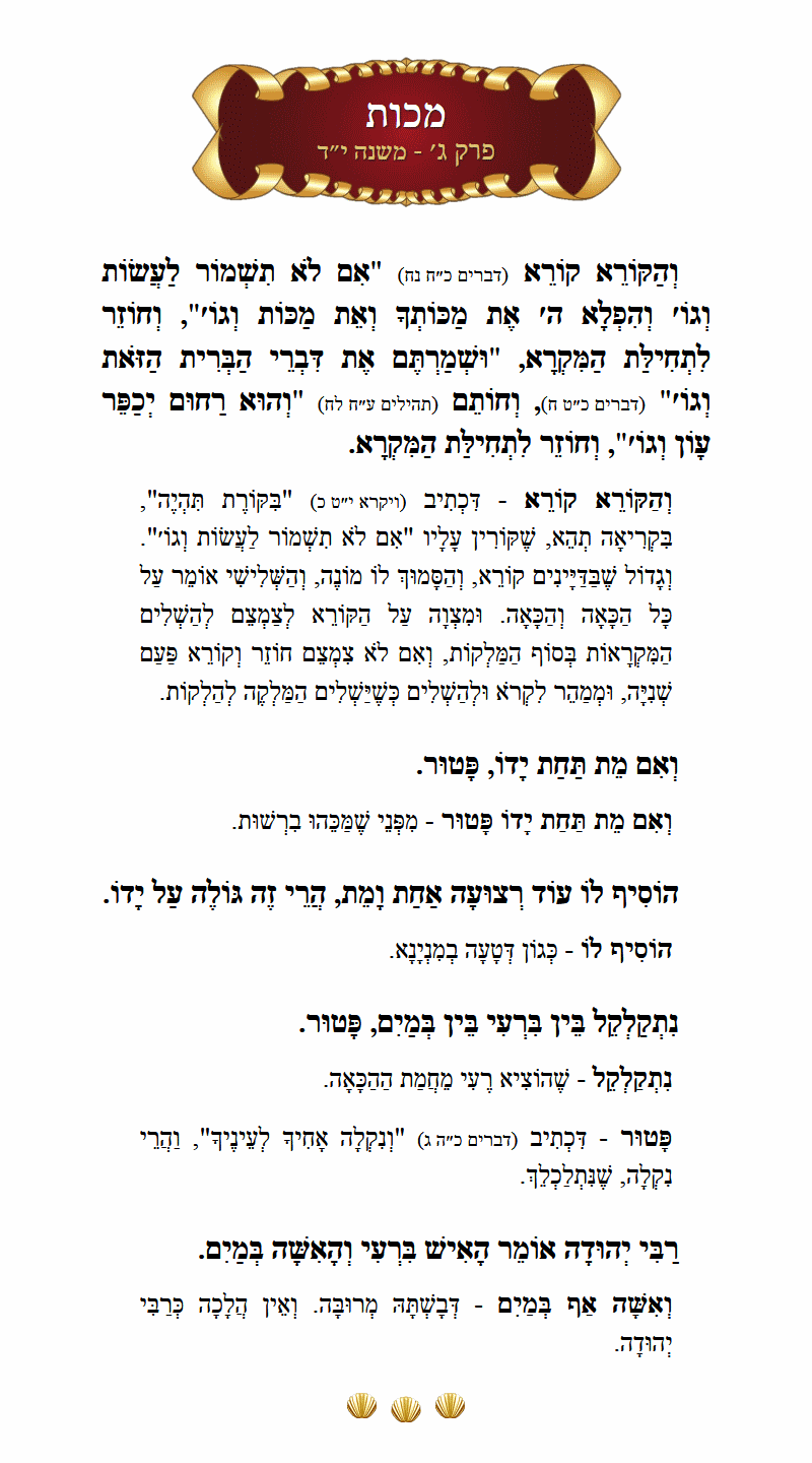 Masechta Makkos Chapter 3 Mishnah 14 with commentary
