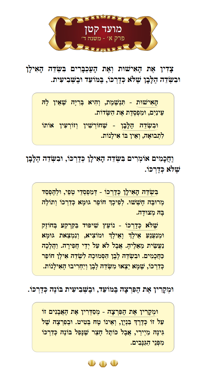 Masechta Moed Koton Chapter 1 Mishnah 4 with commentary