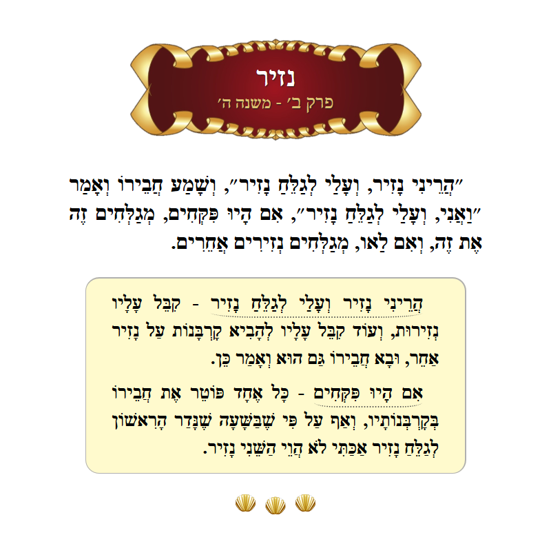 Masechta Nazir Chapter 2 Mishnah 5 with commentary