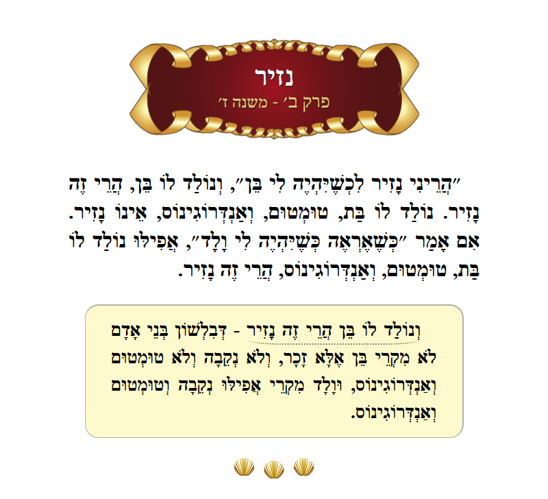 Masechta Nazir Chapter 2 Mishnah 7 with commentary