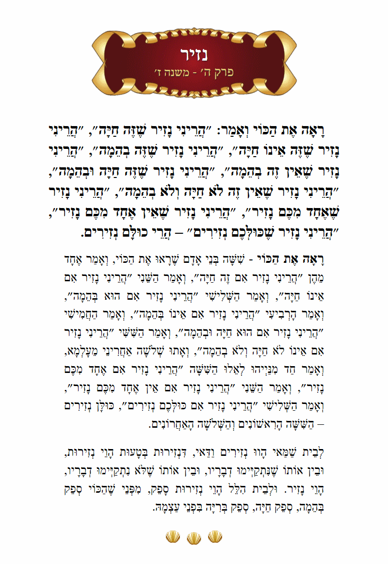 Masechta Nazir Chapter 5 Mishnah 7 with commentary