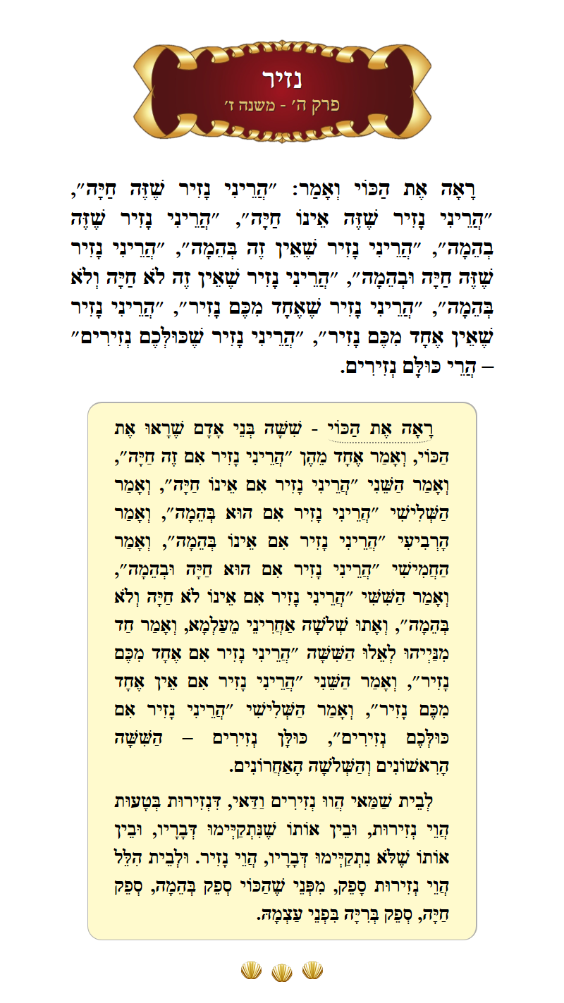 Masechta Nazir Chapter 5 Mishnah 7 with commentary