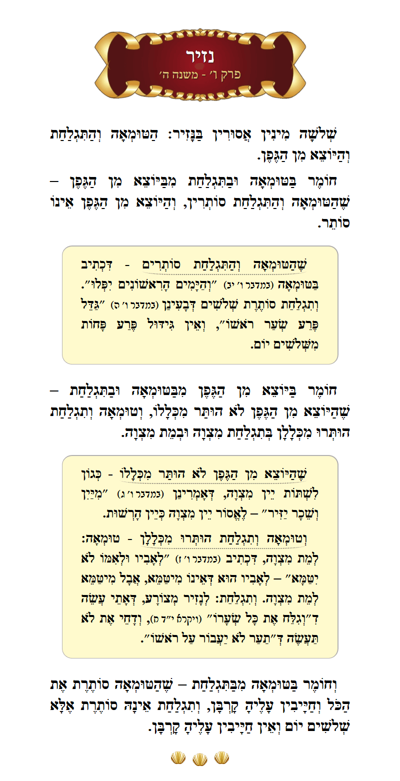 Masechta Nazir Chapter 6 Mishnah 5 with commentary