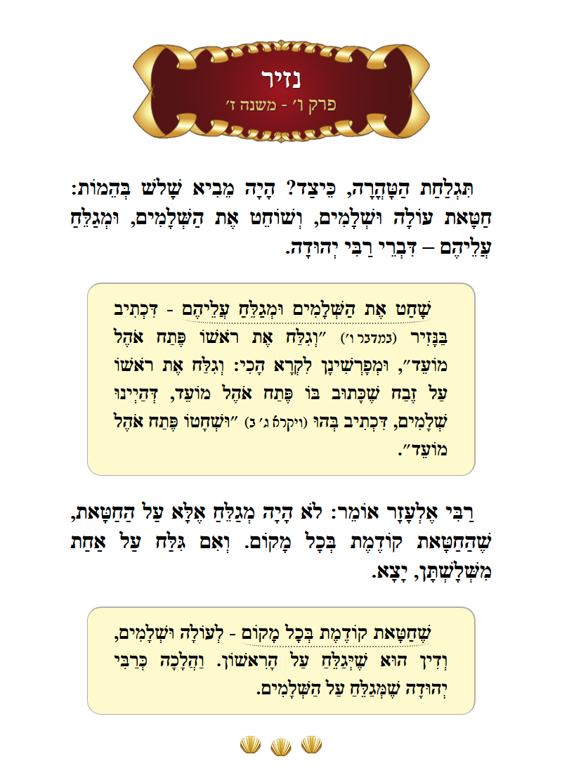Masechta Nazir Chapter 6 Mishnah 7 with commentary