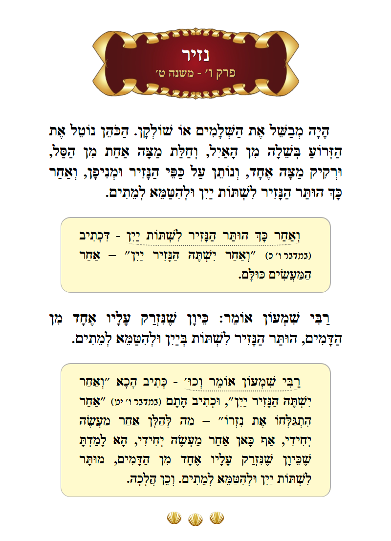 Masechta Nazir Chapter 6 Mishnah 9 with commentary