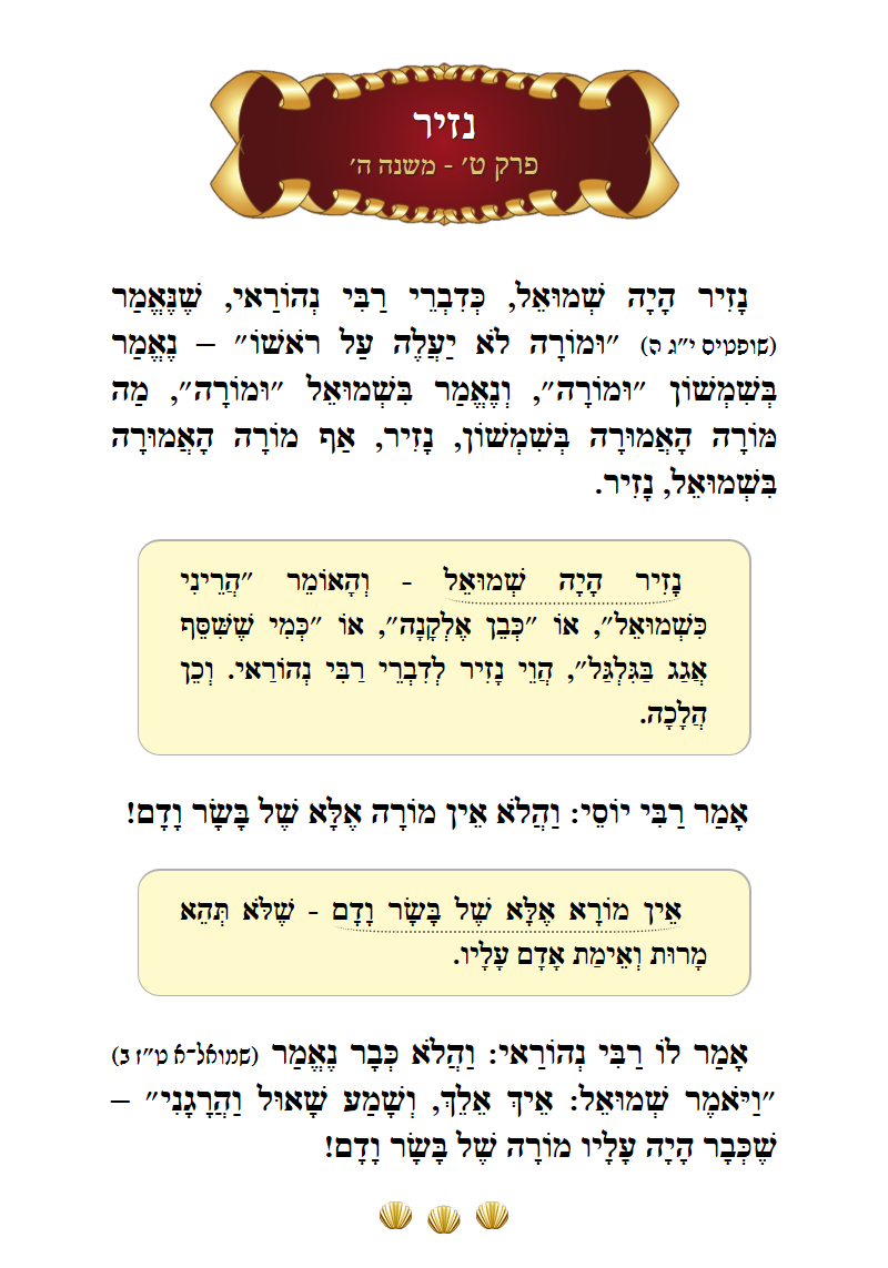 Masechta Nazir Chapter 9 Mishnah 5 with commentary