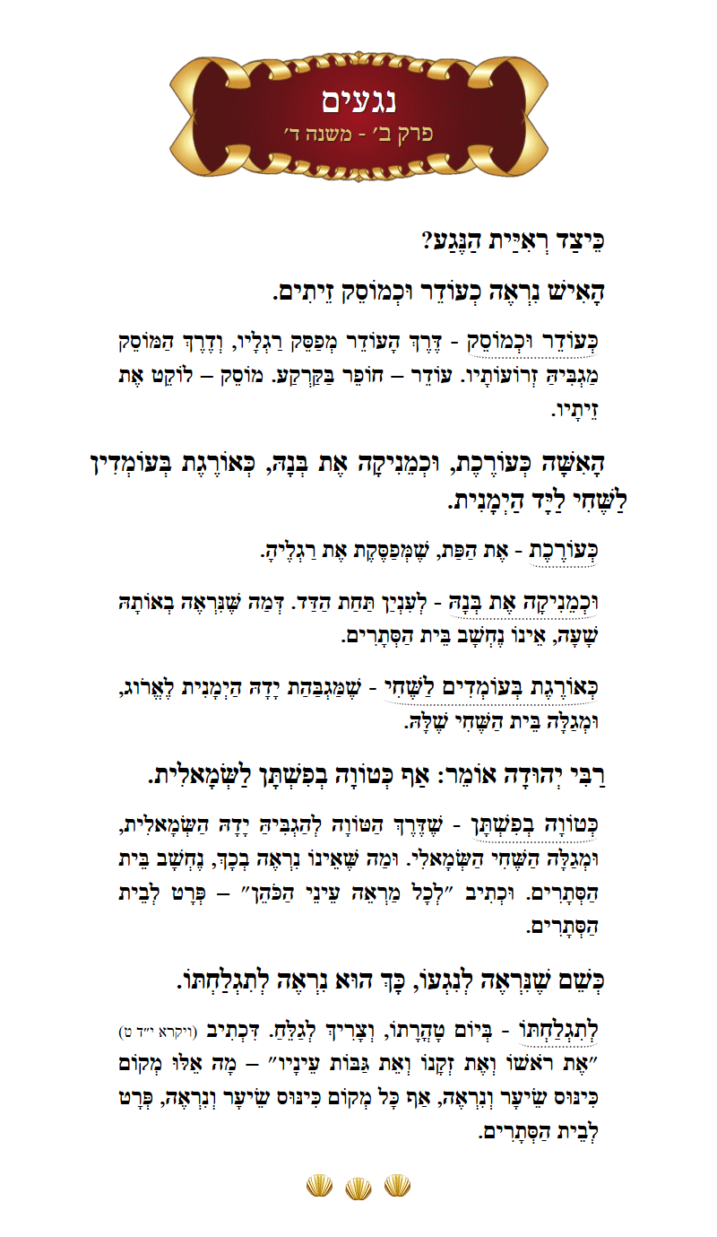 Masechta Negaim Chapter 2 Mishnah 4 with commentary