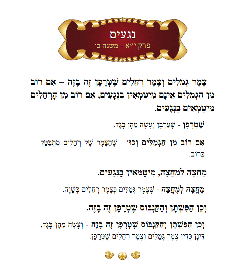 Masechta Negaim Chapter 11 Mishnah 2 with commentary
