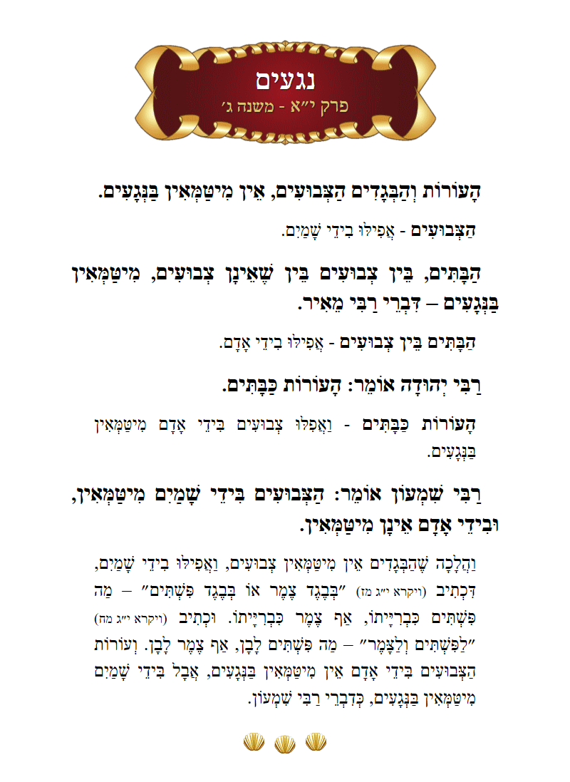 Masechta Negaim Chapter 11 Mishnah 3 with commentary