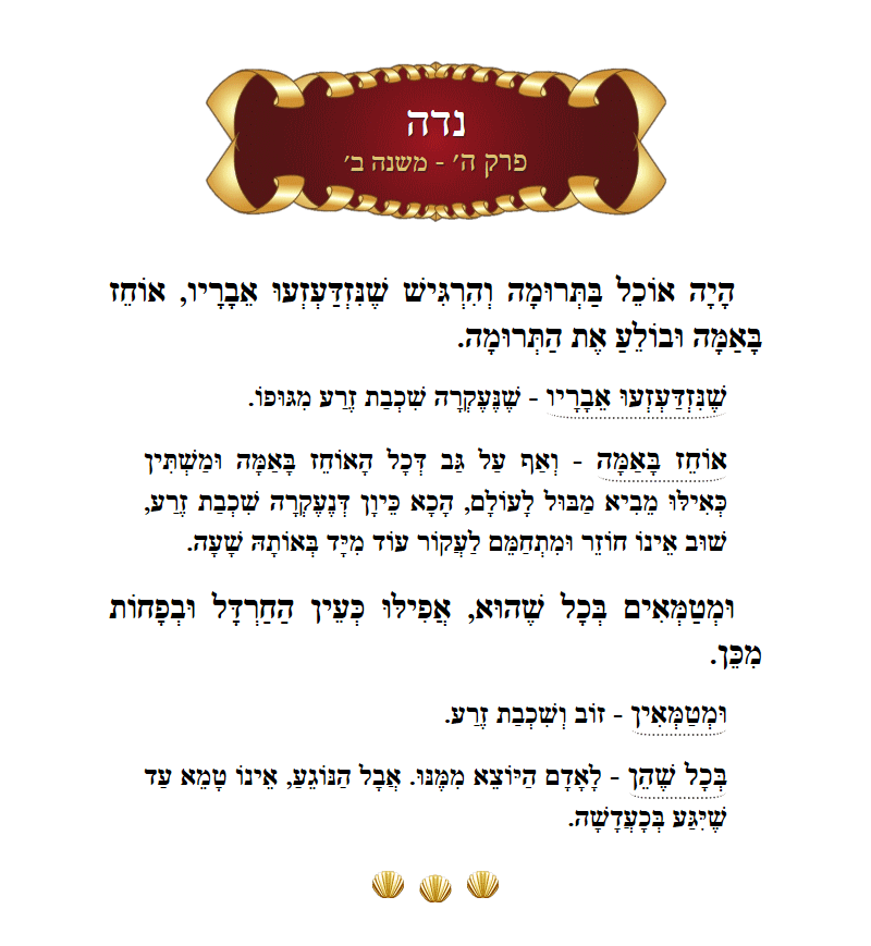 Masechta Niddah Chapter 5 Mishnah 2 with commentary