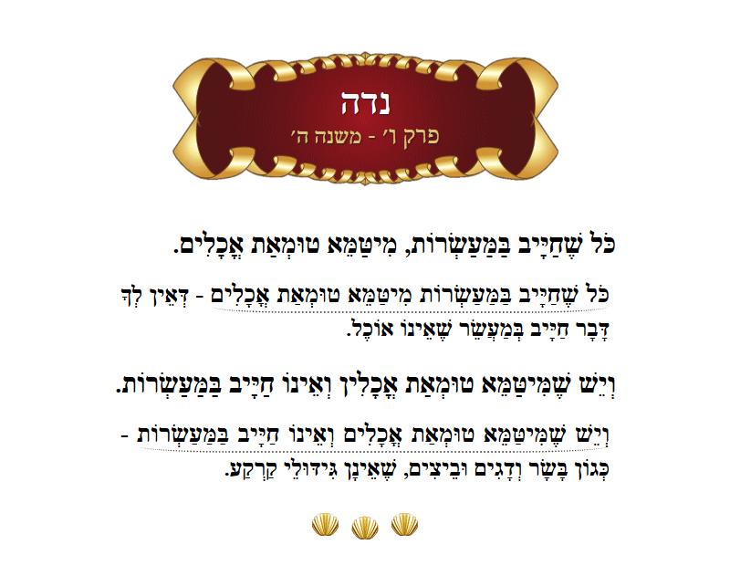 Masechta Niddah Chapter 6 Mishnah 5 with commentary