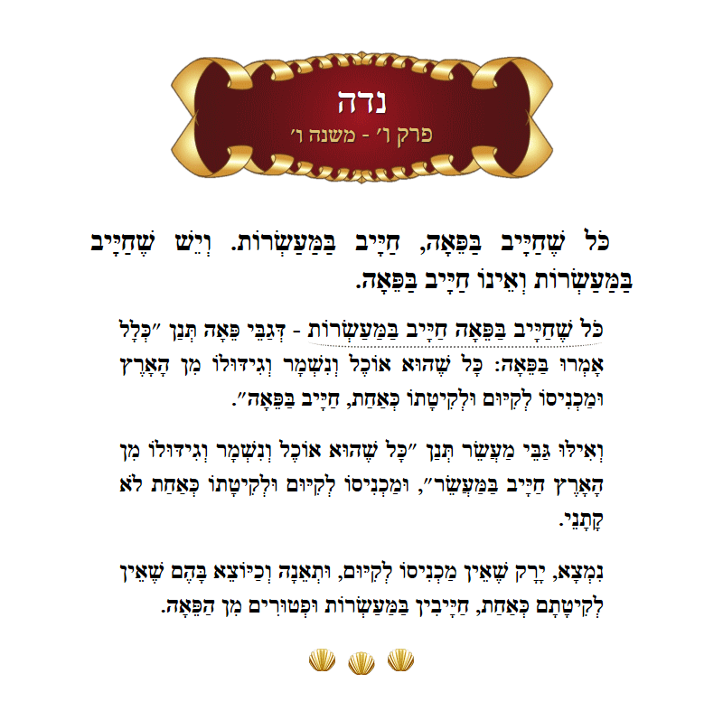 Masechta Niddah Chapter 6 Mishnah 6 with commentary