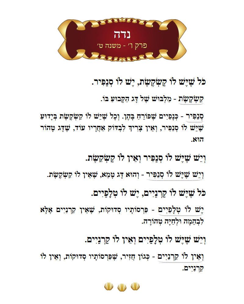 Masechta Niddah Chapter 6 Mishnah 9 with commentary
