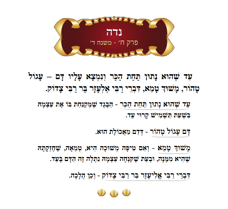 Masechta Niddah Chapter 8 Mishnah 4 with commentary