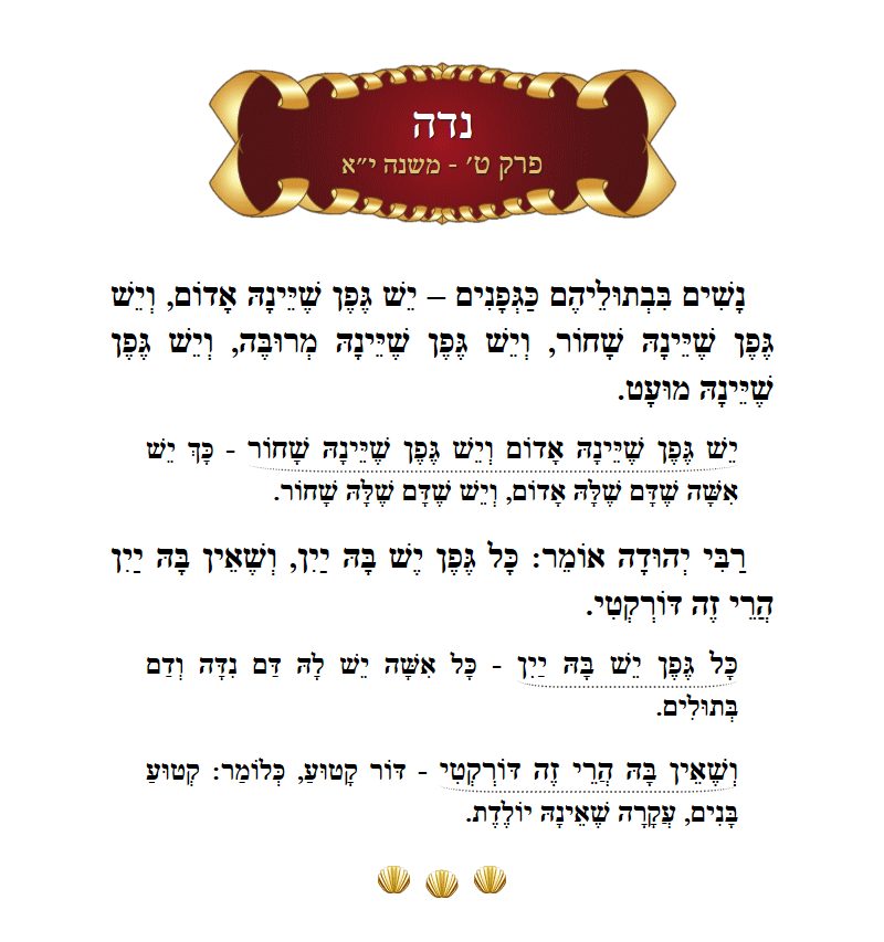 Masechta Niddah Chapter 9 Mishnah 11 with commentary