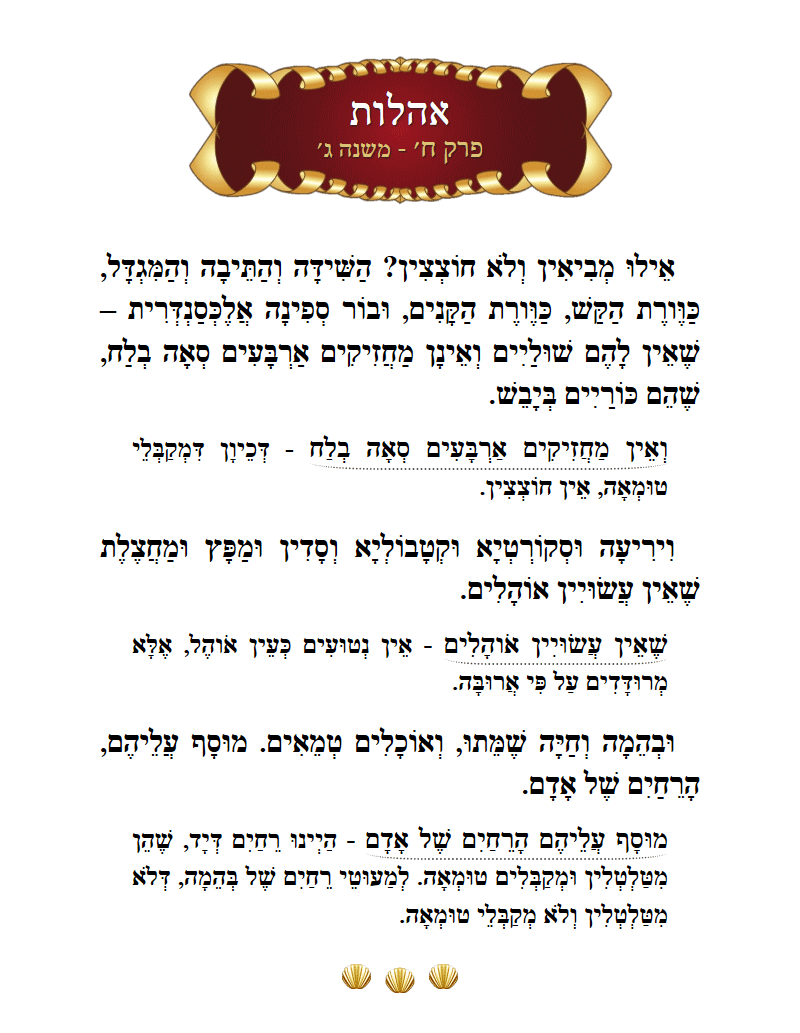 Masechta Oholos Chapter 8 Mishnah 3 with commentary