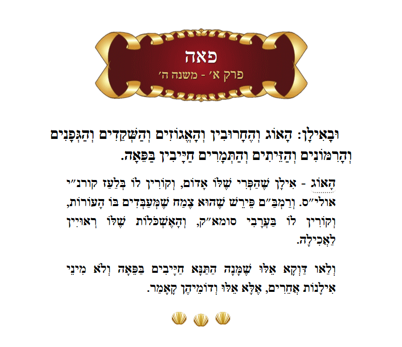 Masechta Peah Chapter 1 Mishnah 5 with commentary