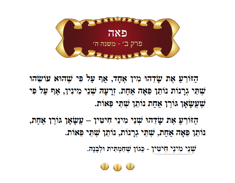 Masechta Peah Chapter 2 Mishnah 5 with commentary