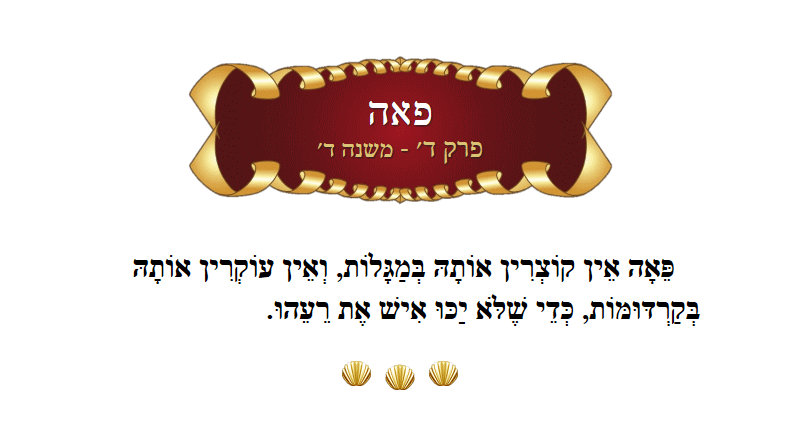 Masechta Peah Chapter 4 Mishnah 4 with commentary