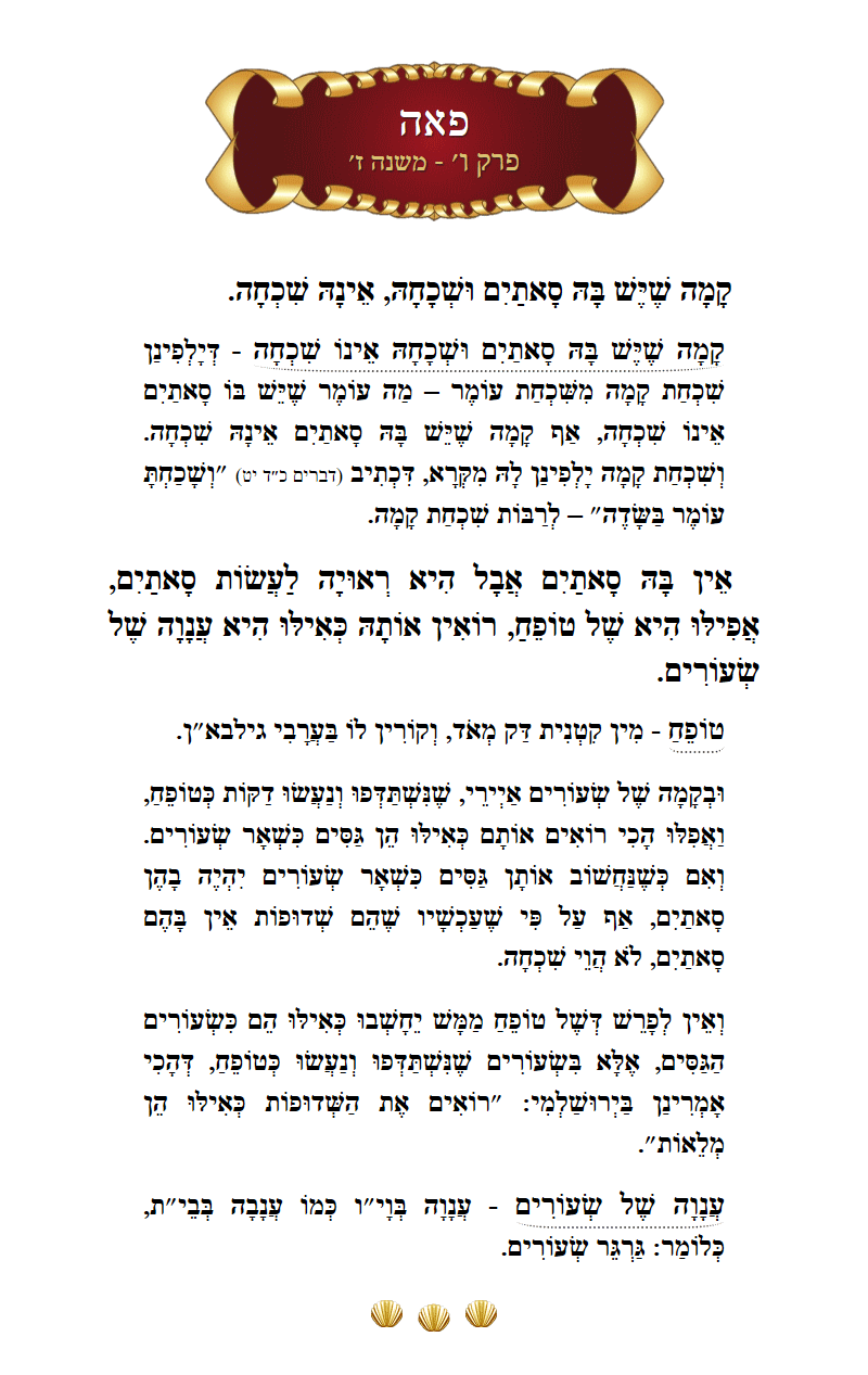 Masechta Peah Chapter 6 Mishnah 7 with commentary