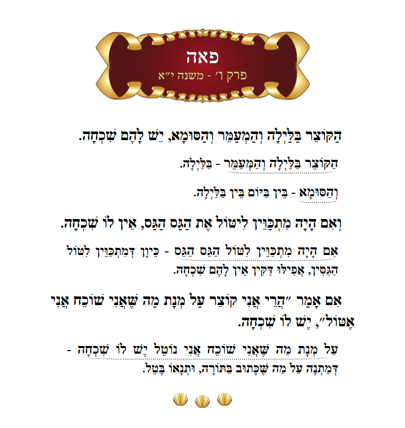 Masechta Peah Chapter 6 Mishnah 11 with commentary