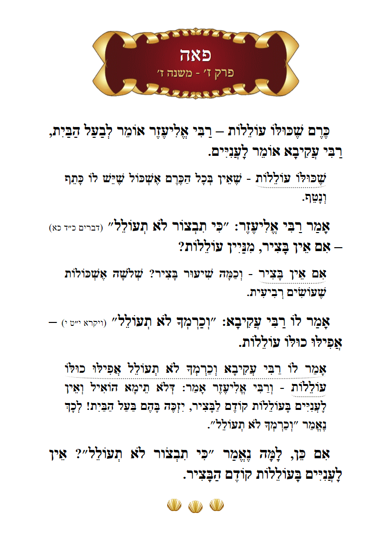 Masechta Peah Chapter 7 Mishnah 7 with commentary