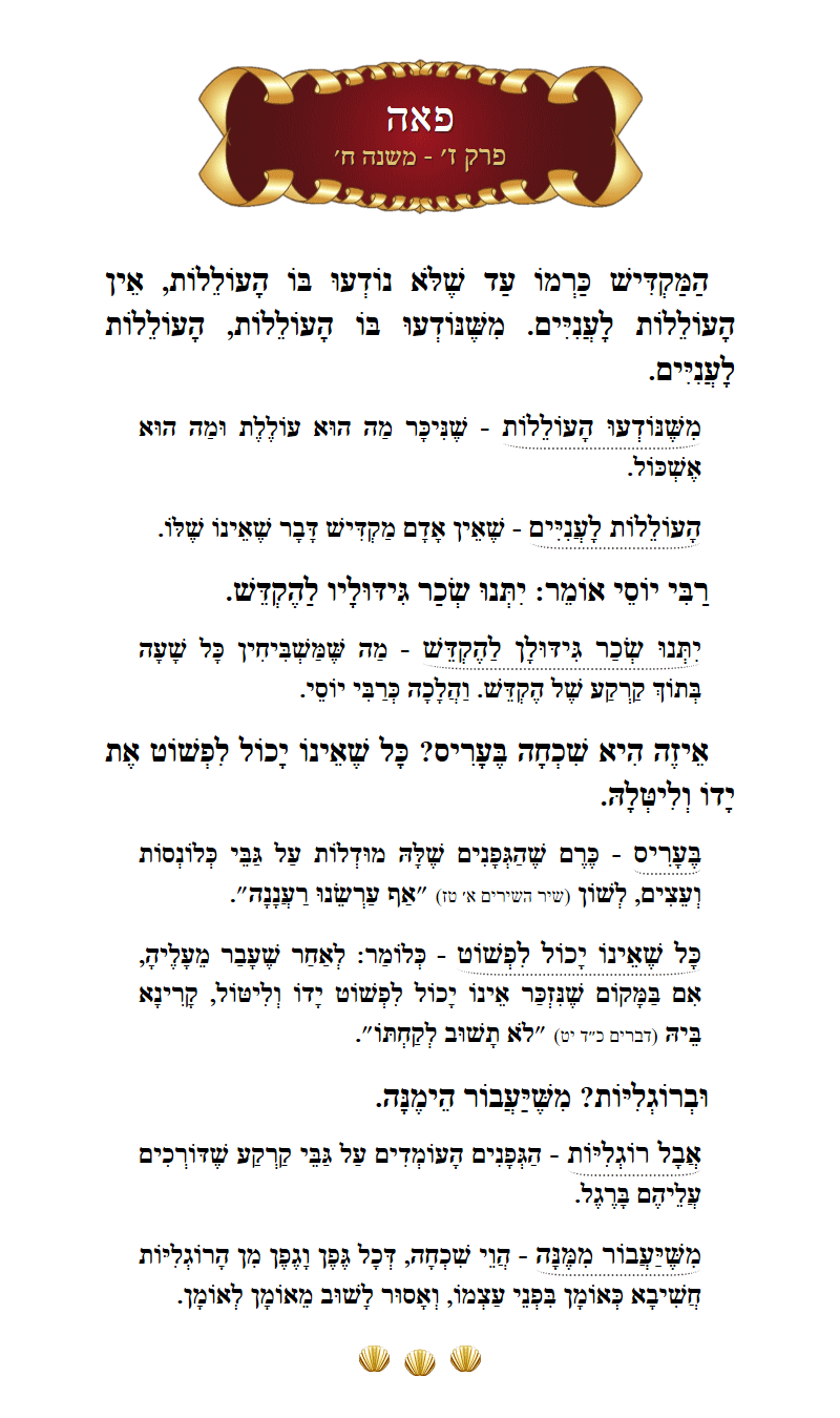 Masechta Peah Chapter 7 Mishnah 8 with commentary