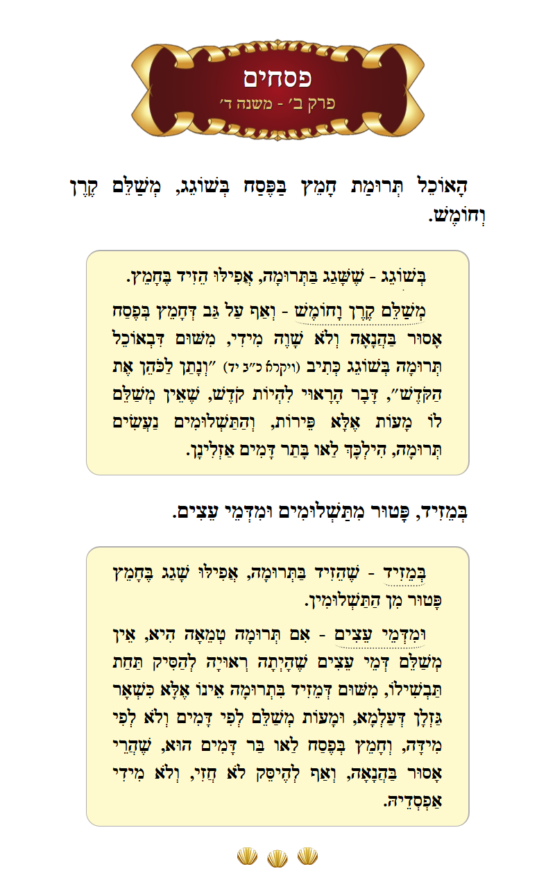Masechta Pesachim Chapter 2 Mishnah 4 with commentary