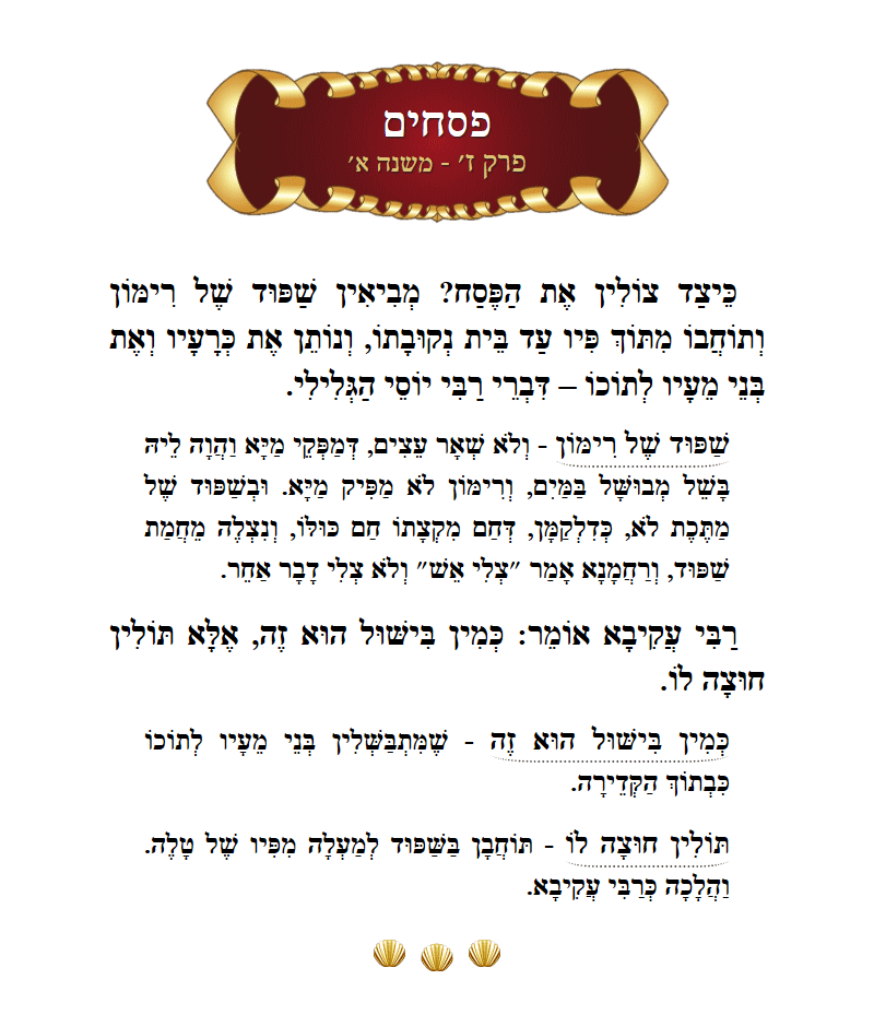 Masechta Pesachim Chapter 7 Mishnah 11 with commentary