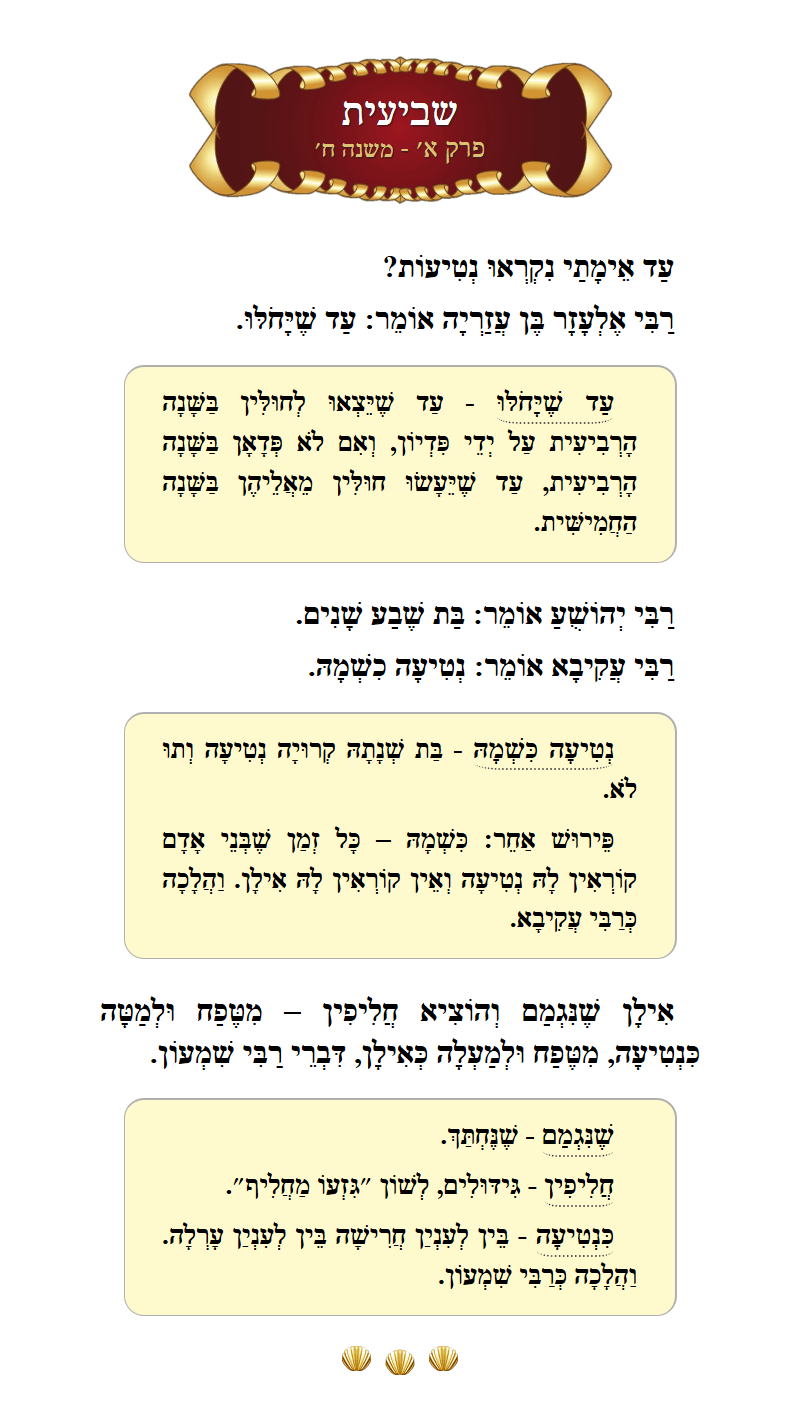 Masechta Sheviis Chapter 1 Mishnah 8 with commentary