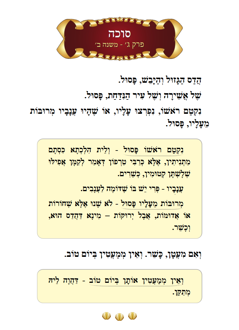 Masechta Succah Chapter 3 Mishnah 2 with commentary