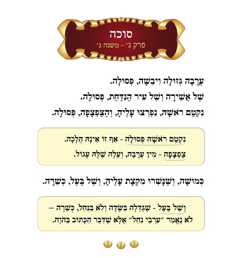 Masechta Succah Chapter 3 Mishnah 3 with commentary