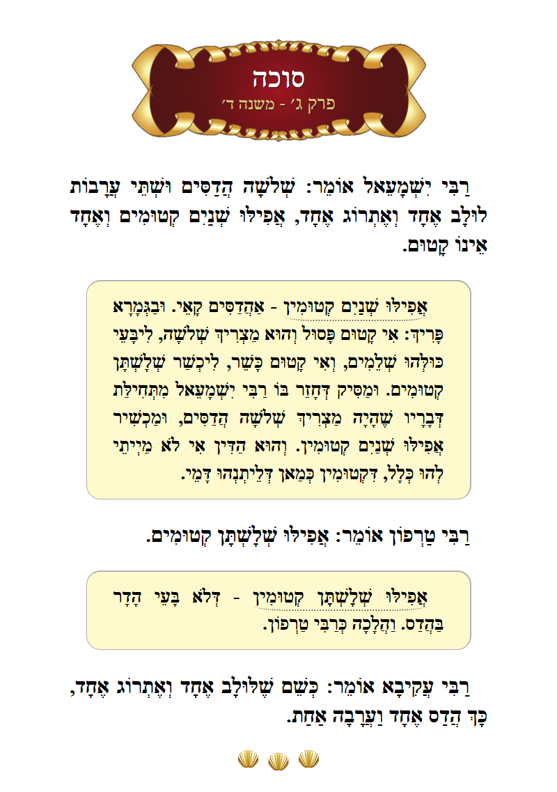 Masechta Succah Chapter 3 Mishnah 4 with commentary