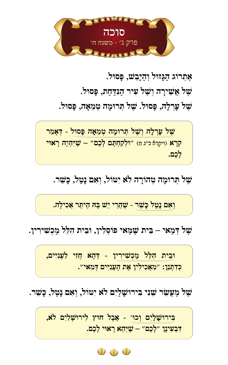 Masechta Succah Chapter 3 Mishnah 5 with commentary