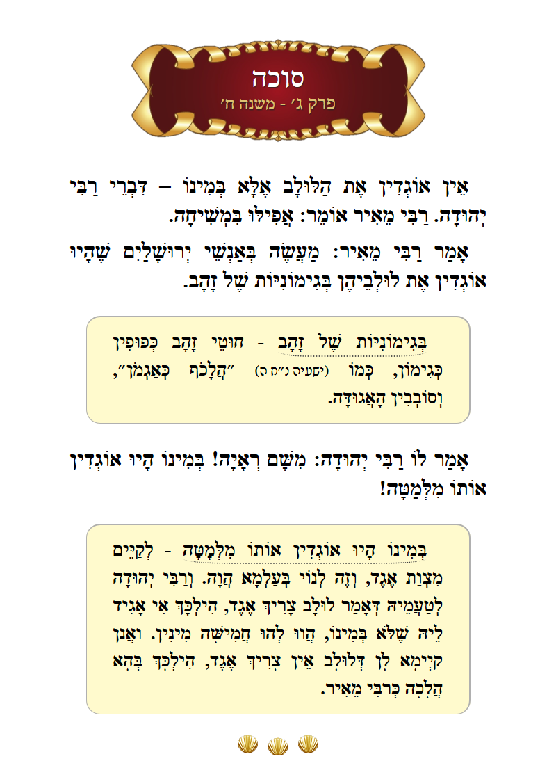 Masechta Succah Chapter 3 Mishnah 8 with commentary
