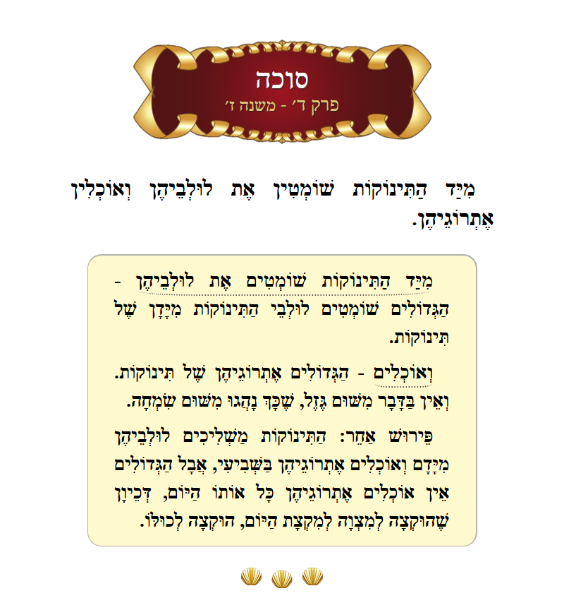 Masechta Succah Chapter 4 Mishnah 7 with commentary