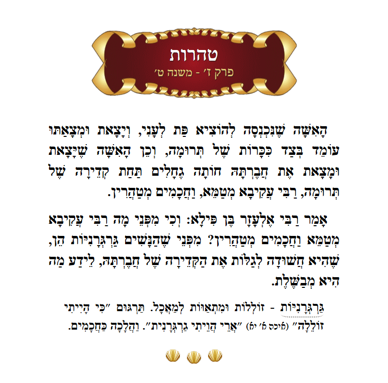 Masechta Taharos Chapter 7 Mishnah 9 with commentary