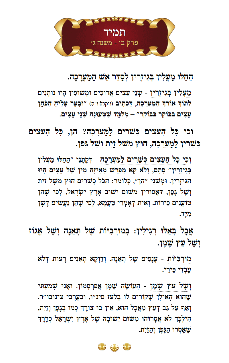 Masechta Tamid Chapter 2 Mishnah 3 with commentary