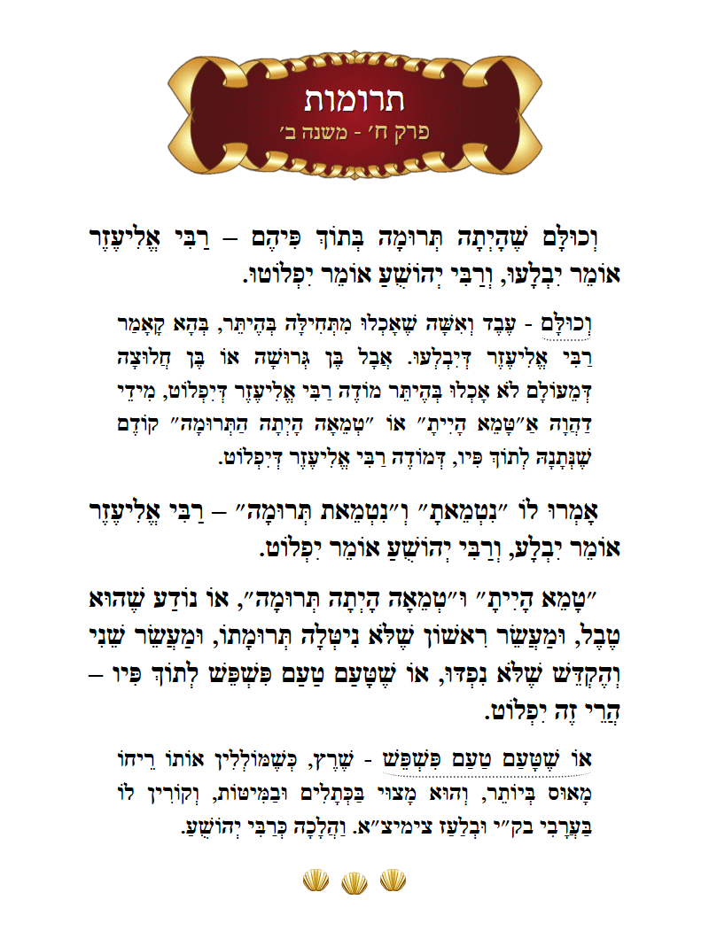 Masechta Terumos Chapter 8 Mishnah 2 with commentary