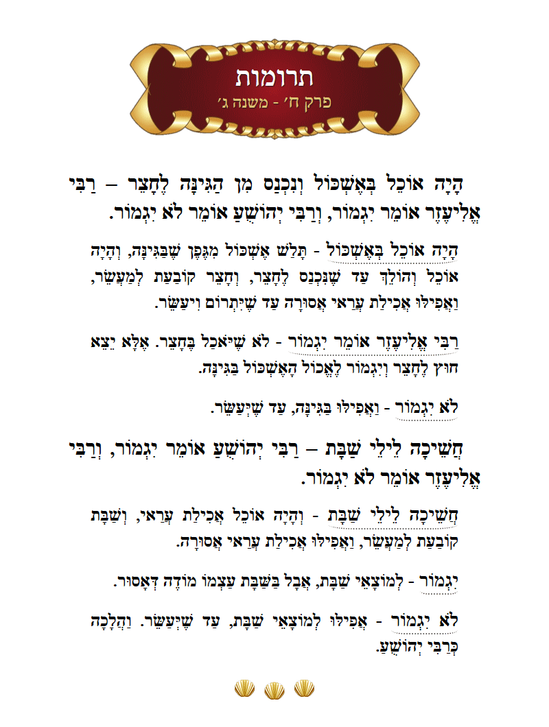 Masechta Terumos Chapter 8 Mishnah 3 with commentary