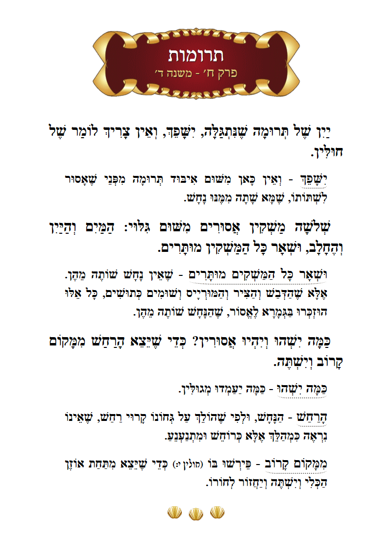 Masechta Terumos Chapter 8 Mishnah 4 with commentary