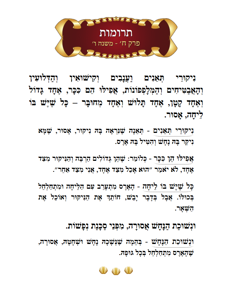 Masechta Terumos Chapter 8 Mishnah 6 with commentary