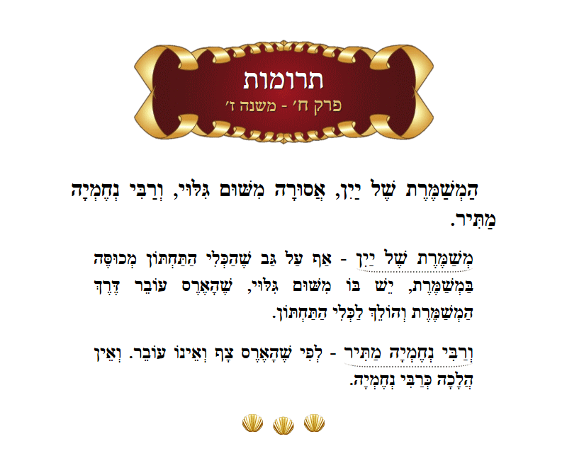 Masechta Terumos Chapter 8 Mishnah 7 with commentary