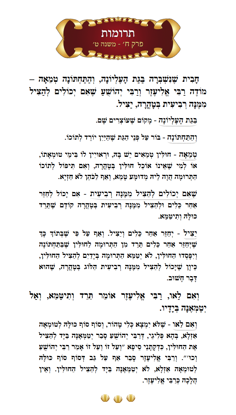 Masechta Terumos Chapter 8 Mishnah 9 with commentary